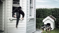 Advertisement artwork Viral