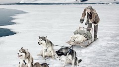 Advertisement artwork Viral