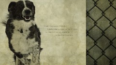 Advertisement brands artwork