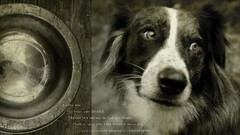 Advertisement brands artwork