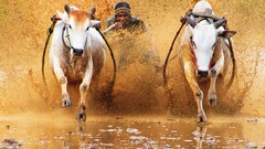 Advertisement cityscapes surreal artwork