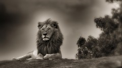 Advertisement cityscapes surreal artwork