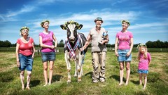 Advertisement Cows illustrations artwork pinups