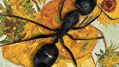 Advertisement posters brands artwork