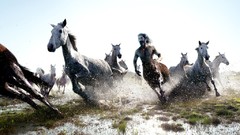 Advertisement racing artwork