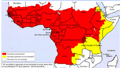 Africa infographics virus best