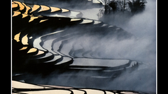 Age that think reached finally