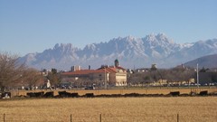 Aggieland view of The