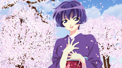 Ai yori aoshi Anime