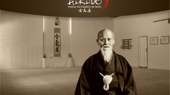Aikido Sport