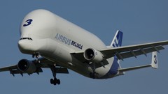 Airbus Beluga