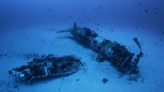 Aircraft abandoned Crash