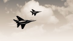 Aircraft air aviation skies