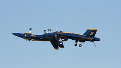Aircraft aircrafts blue angels