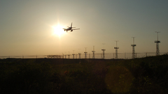 Aircraft airplanes airports airliners