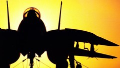 Aircraft airplanes f-14 tomcat