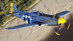 Aircraft airplanes Warbird fighters