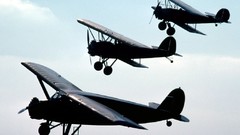 Aircraft biplane