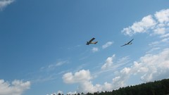 Aircraft blue skies glider