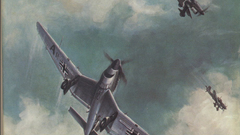 Aircraft bomber artwork Stuka