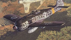 Aircraft bombs Luftwaffe Focke-Wulf 190