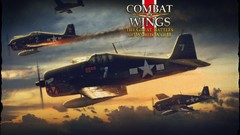 Aircraft Combat Wings