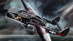 Aircraft dark Black Widow