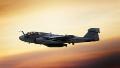 Aircraft EA-6B Prowler VAQ-133