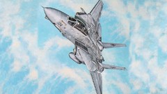 Aircraft f-14 tomcat