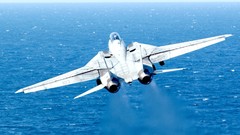 Aircraft f-14 tomcat