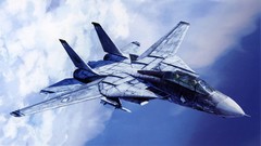Aircraft f-14 tomcat