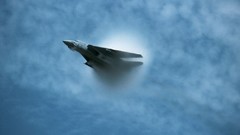 Aircraft f-14 tomcat fighter jets low resolution