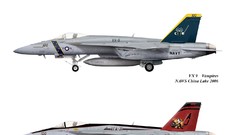 Aircraft f-18 hornet McDonnell Douglas fighter jets