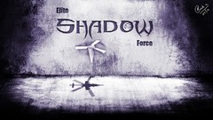 Aircraft Helicopters apache ESF