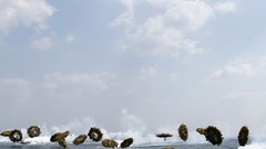 Aircraft land smoke drill marine military landing move shore 