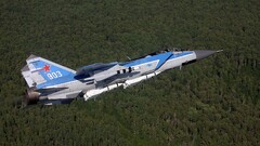 Aircraft Mikoyan MiG-31 forest military aircraft vehicle numbers