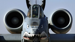 Aircraft military A-10 Thunderbolt