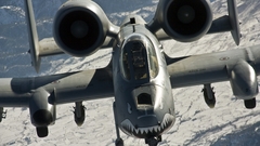 Aircraft military A-10 Thunderbolt
