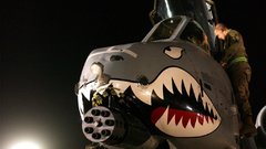 Aircraft military A-10 Thunderbolt