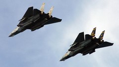 Aircraft military f-14 tomcat