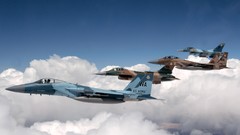 Aircraft military f-15 eagle f-16 fighting falcon