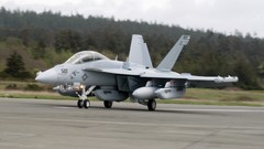 Aircraft military f-18 hornet