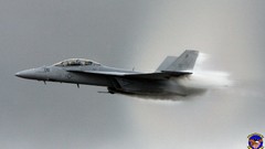 Aircraft military f-18 hornet