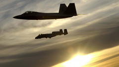 Aircraft military F-22 Raptor