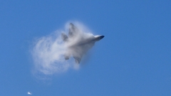 Aircraft military F-22 Raptor