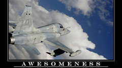 Aircraft military F-5 Freedom