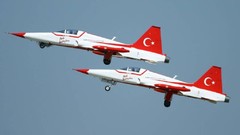 Aircraft military F-5 Freedom