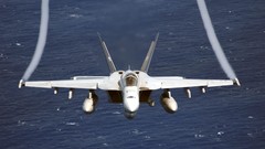 Aircraft military FA-18 Hornet