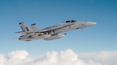 Aircraft military FA-18 Hornet