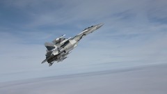 Aircraft military fighter jets Su-33 Flanker-D